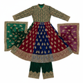 Women's Velvet Party Wear Dress